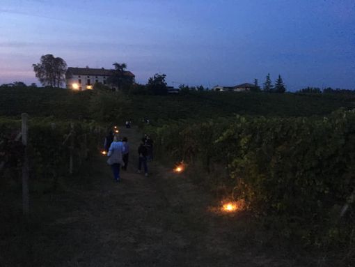 Castelnuovo Belbo, successo per la camminata notturna tra i filari patrimonio Unesco Castelnuovo Belbo, successo per la camminata notturna tra i filari patrimonio Unesco