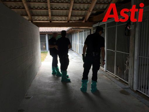 Caso canile di Refrancore, il proprietario: "Sono innocente, chi sta sbagliando pagherà" (FOTOGALLERY) Caso canile di Refrancore, il proprietario: "Sono innocente, chi sta sbagliando pagherà" (FOTOGALLERY)