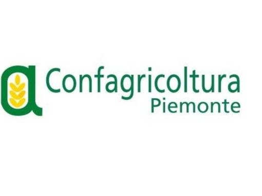 Ernesto Balma confermato alla guida dei pensionati di Confagricoltura Piemonte Ernesto Balma confermato alla guida dei pensionati di Confagricoltura Piemonte