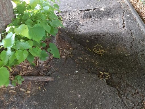 Un tratto di marciapiede in via Robino Un tratto di marciapiede in via Robino