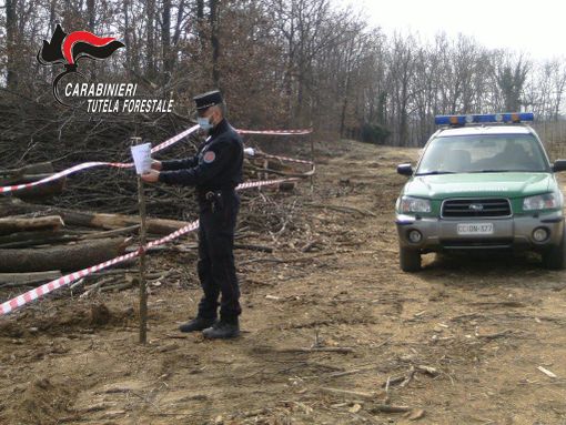 Percorso fuoristrada nei boschi Alto Astigiano, abbattimenti e accensione di roghi. Intensa atttività per i carabinieri forestali