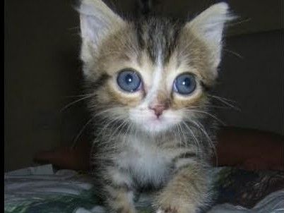 Immagine di repertorio