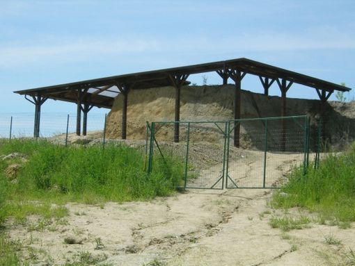 Ad Asti, paleontologi per un giorno. Continuano gli appuntamenti del Museo Paleontologico