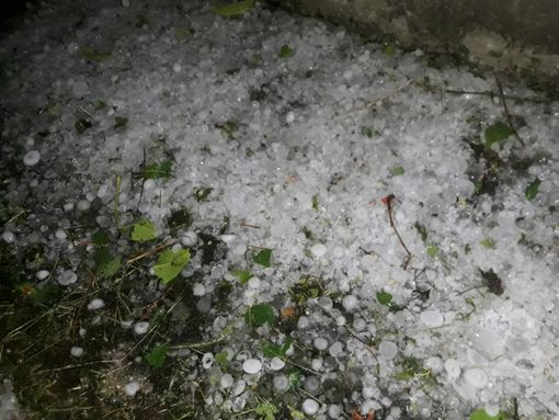 Foto canale Telegram Dati Meteo Asti