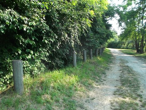 Parco delle rocche di Antignano Parco delle rocche di Antignano