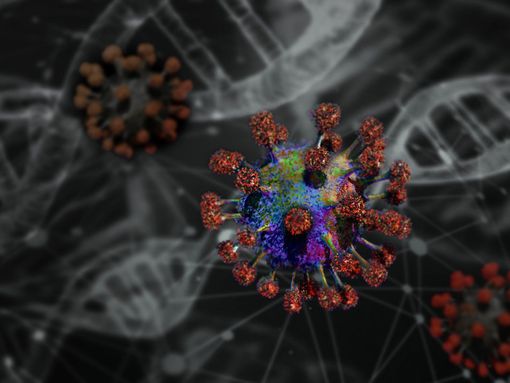 Emergenza coronavirus in Piemonte: i guariti salgono a 35, 24 i nuovi decessi Emergenza coronavirus in Piemonte: i guariti salgono a 35, 24 i nuovi decessi