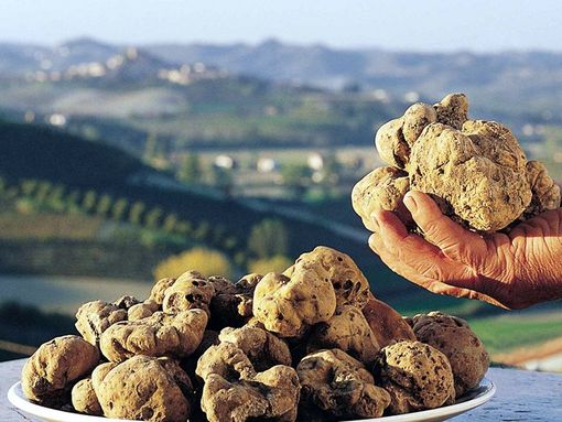 Canelli è in festa per il fine settimana dedicato alla Fiera del Tartufo Canelli è in festa per il fine settimana dedicato alla Fiera del Tartufo