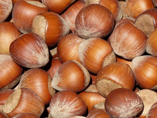 Cortemilia: fiera nazionale della nocciola ancora più accessibile grazie all'app 'tabUi'