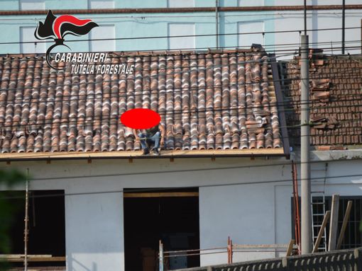 Asti, cantiere edile sotto sequestro per gravi carenze in materia di sicurezza sul lavoro