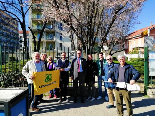 Sopralluogo in corso Matteotti ad Asti per la verifica degli alberi Sopralluogo in corso Matteotti ad Asti per la verifica degli alberi