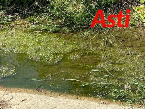 Ecco le condizioni in cui viviamo noi, residenti di strada ragazzi del ‘99 Ecco le condizioni in cui viviamo noi, residenti di strada ragazzi del ‘99