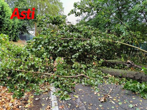 Immagine di archivio (MerfePhoto) Immagine di archivio (MerfePhoto)