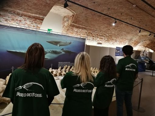 Servizio civile con il Parco Paleontologico Astigiano Servizio civile con il Parco Paleontologico Astigiano