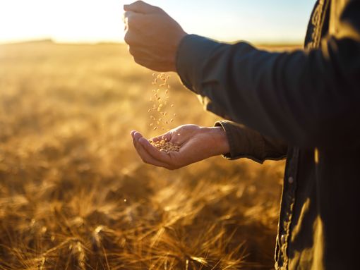 ‘Seminare il futuro’ si adegua alle norme anti-Covid e sarà seguibile in diretta streaming