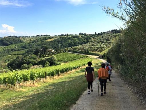 Nuovi appuntamenti con le camminate del Monferrato Nordic Walking