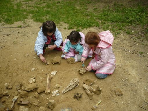 Ripartono le giornate dedicate alle famiglie organizzate dal Parco Paleontologico di Asti Ripartono le giornate dedicate alle famiglie organizzate dal Parco Paleontologico di Asti