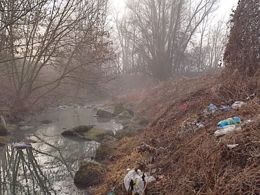 Volontari della Protezione civile di Asti sul Versa per abbattimento piante [FOTO]