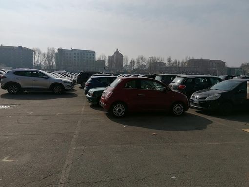 Stalli scoloriti in piazza Campo del Palio Stalli scoloriti in piazza Campo del Palio