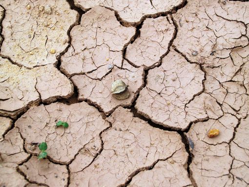 Il Consiglio comunale di Asti approva la mozione per contrastare la siccità, soddisfazione dei 5 Stelle