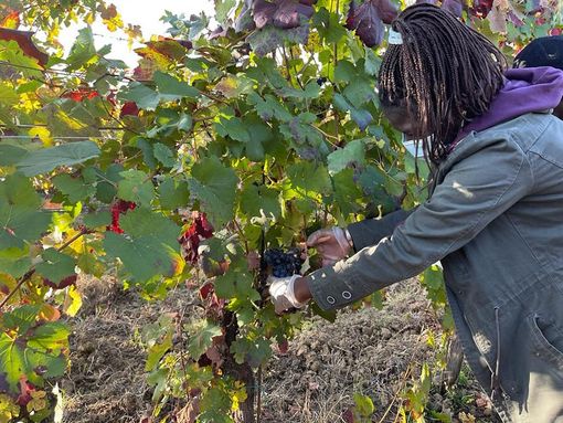 Questa sera a Canelli proiezione del docufilm "Inshallah" per il progetto "Diritti in azione" Questa sera a Canelli proiezione del docufilm "Inshallah" per il progetto "Diritti in azione"