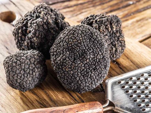Bianco o nero il tartufo divide l'Alto Astigiano e fa discutere il territorio