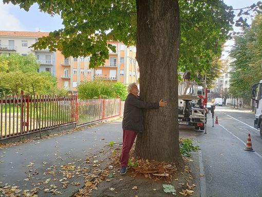 Sergio Miravalle abbracciato al tiglio