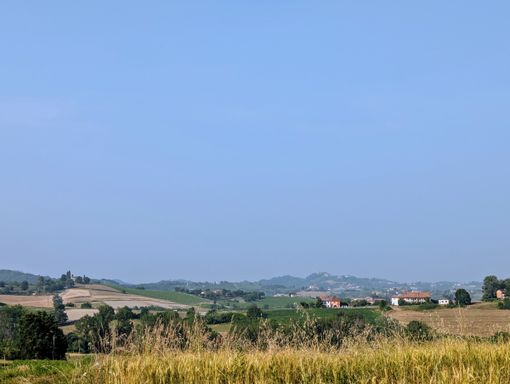 "Il cinema in vigna" a Tuffo: una serata tra film e vino sotto le stelle "Il cinema in vigna" a Tuffo: una serata tra film e vino sotto le stelle