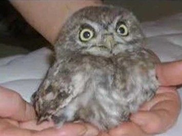 Immagine di repertorio