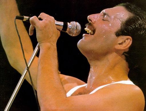 Freddie Mercury  https://creativecommons.org/licenses/by/2.0/ Freddie Mercury  https://creativecommons.org/licenses/by/2.0/