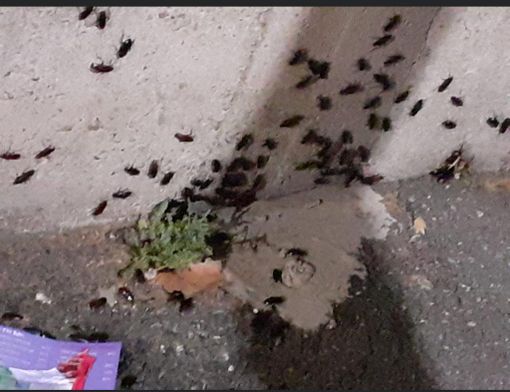 Foto Facebook gruppo Asti Foto Facebook gruppo Asti