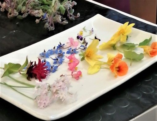 'Mangiare i Fiori' una cena di Gala esclusiva sabato 9 aprile a Alassio. Prenotazioni aperte! 'Mangiare i Fiori' una cena di Gala esclusiva sabato 9 aprile a Alassio. Prenotazioni aperte!