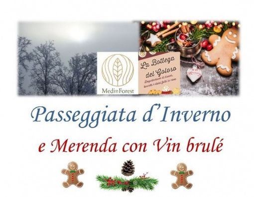 Passeggiata domenicale immersi nella bellezza della Riserva Naturale di Valleandona