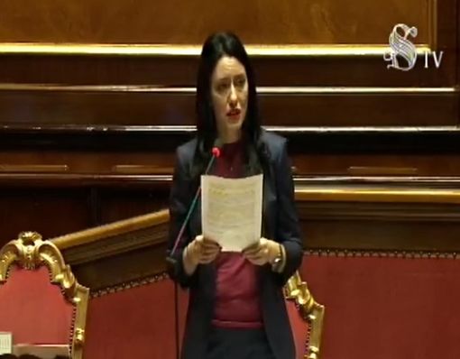La ministra Azzolina nel corso del suo intervento al Senato La ministra Azzolina nel corso del suo intervento al Senato