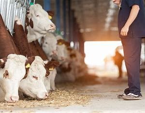 Agricoltura: la Regione incontra i rappresentanti della grande distribuzione a tutela dei prodotti agroalimentari del Piemonte