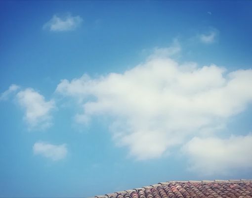 &quot;Storie dall'alveare&quot;, una favola al giorno per i vostri bambini. Oggi &quot;Nuvole di drago&quot;