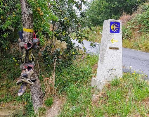 Il richiamo del Cammino: sulle orme degli antichi pellegrini Il richiamo del Cammino: sulle orme degli antichi pellegrini