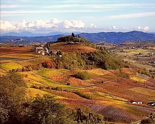 Costigliole d'Asti tra i vincitori del bando 'Simbiosi' della Compagnia di San Paolo