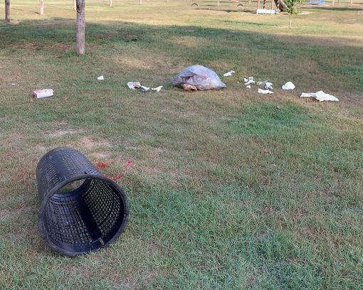 Parco del Borbore vandalizzato o preda di cinghiali?