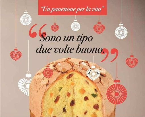 &quot;Un panettone per la vita&quot;, iniziativa di solidarietà a Canelli e Nizza Monferrato