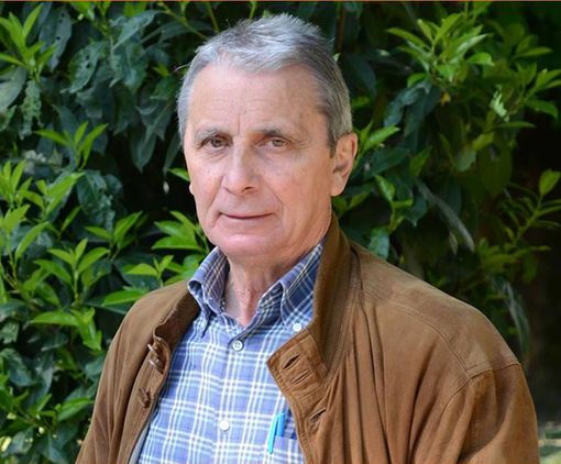 Stefano Milano Stefano Milano