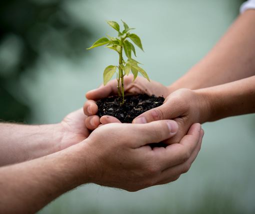 Le BCC, cuore pulsante del territorio: il credito cooperativo che non abbandona le comunità