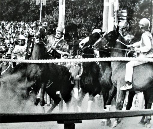 Foto Museo del Palio