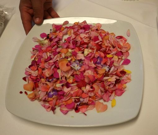 A Golosaria Milano si cucina con i fiori eduli A Golosaria Milano si cucina con i fiori eduli