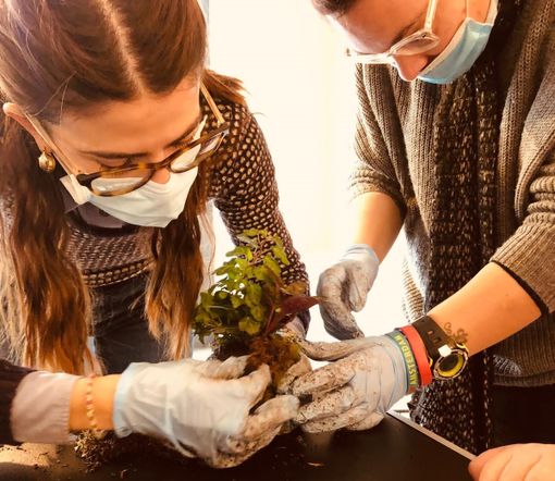 Volontaria con disabile e piantina Volontaria con disabile e piantina