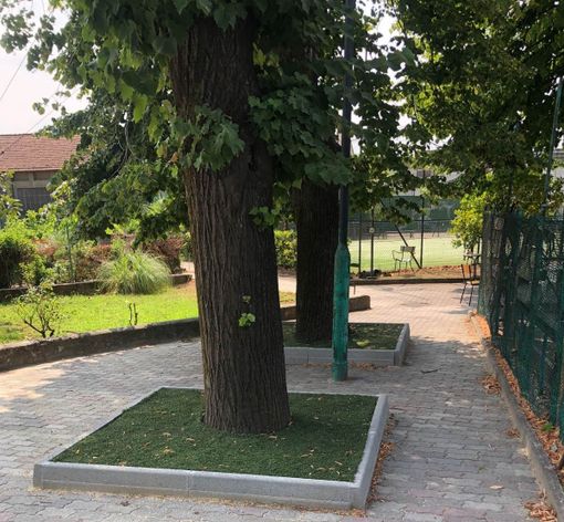 Ambiente, Miroglio: "Nella scelta dei siti sportivi evitiamo di sacrificare alberi" Ambiente, Miroglio: "Nella scelta dei siti sportivi evitiamo di sacrificare alberi"