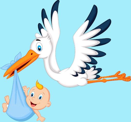 Cicogna dal sindaco di Nizza Monferrato e vicepresidente della Provincia, Simone Nosenzo. È nato Filippo