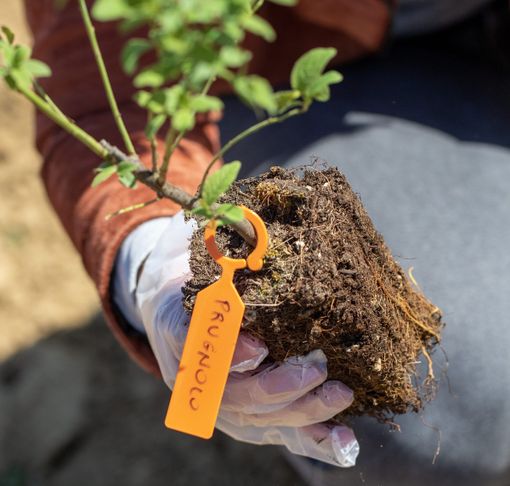 Calliano ospita la prima "Oasi della Biodiversità" istituita nell'Astigiano Calliano ospita la prima "Oasi della Biodiversità" istituita nell'Astigiano