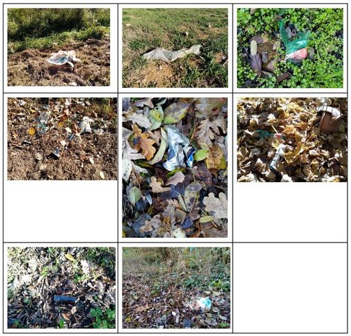 Collage di immagini di rifiuti abbandonati in zona Viatosto
