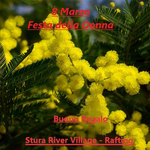 Festa della Donna: Regala un'esperienza indimenticabile!