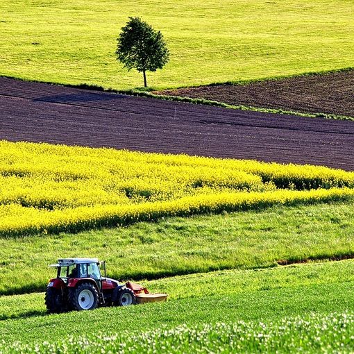 La Commissione propone una revisione mirata della politica agricola comune per sostenere gli agricoltori dell'UE